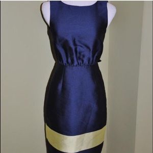 J Crew Silk Dress